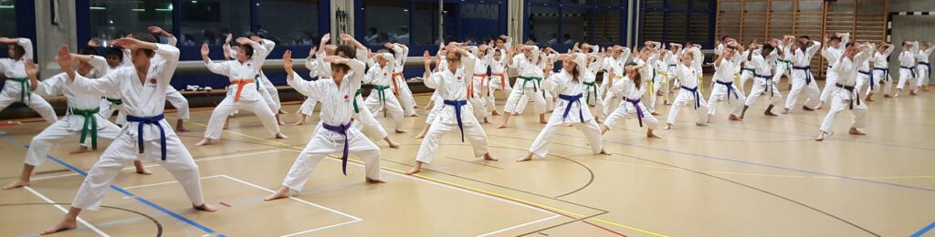 Kampfsport Aarau - Aargau