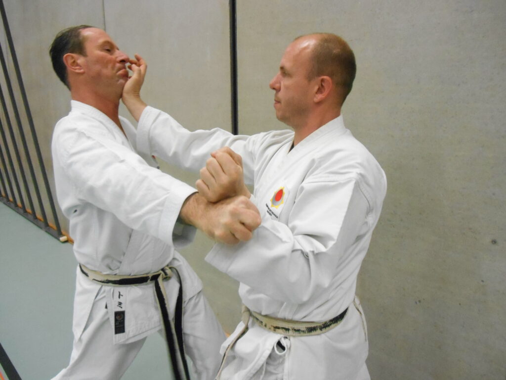 Handballenschlag gibt es nicht nur im Karate, auch z.B. im Wing Tsun oder Krav Maga. Tommy Scheidegger aus Küttigen und Michael Baumann aus Möriken, Instruktoren für Kampfsport und Karate.