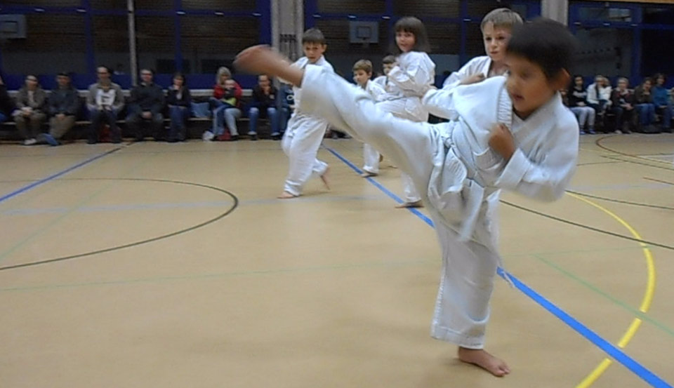Karate-Kid Bryan aus Gränichen - Kinder-Karate