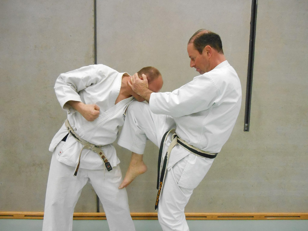 Traditionelles Karate als Selbstverteidigung und Martial Arts 