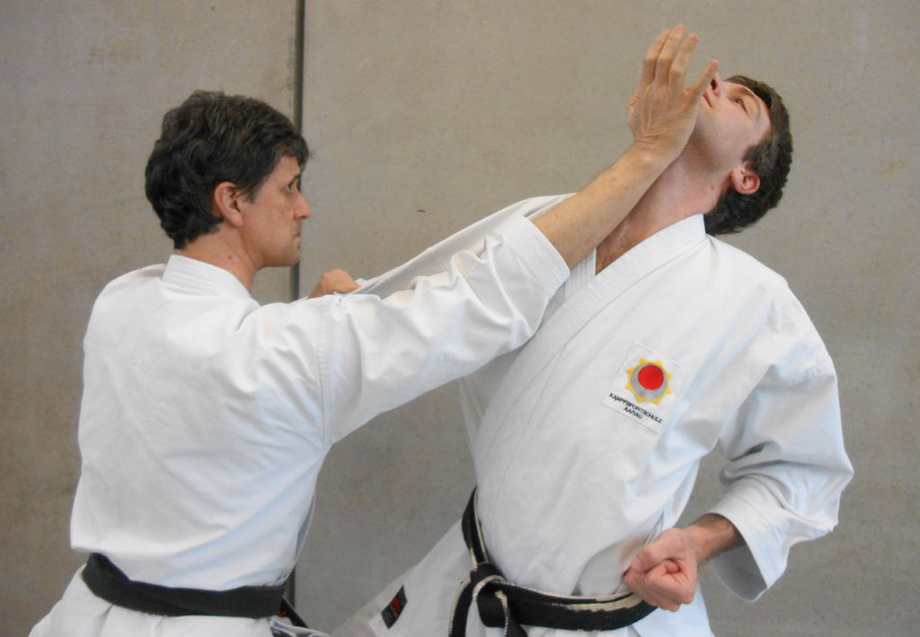 Karate als effektive Selbstverteidigung in Aarau