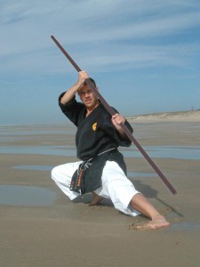 Kobudo mit Bo