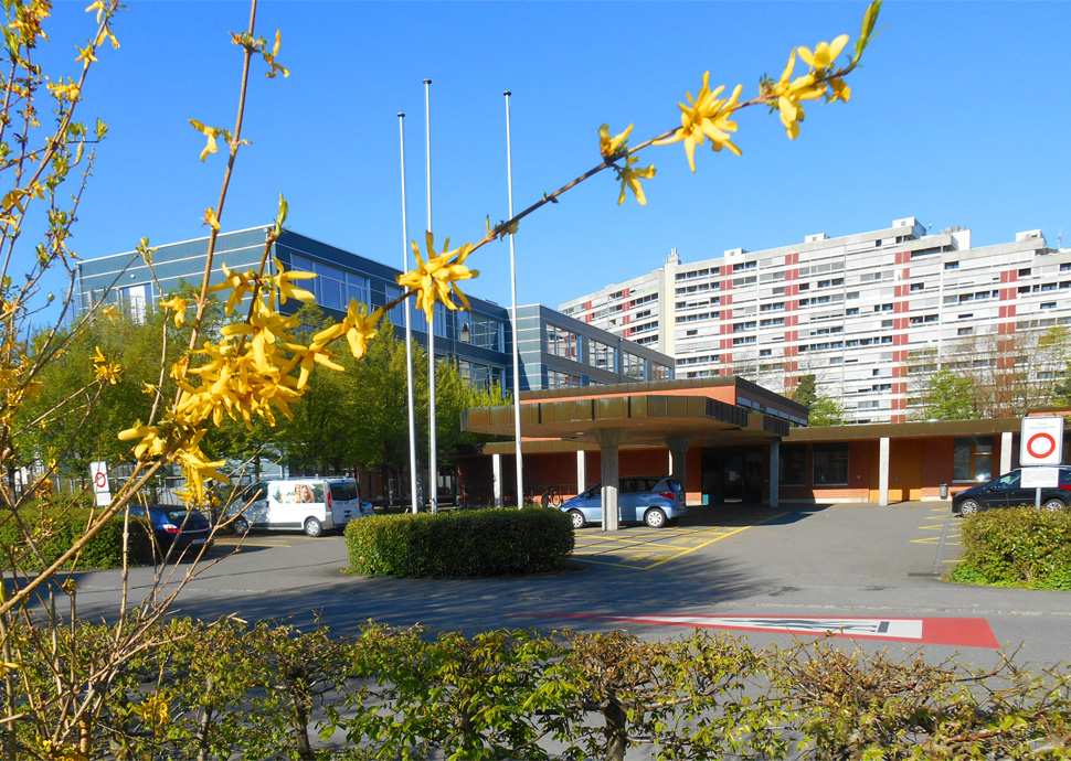 Zeka Aarau Turnhalle Heilpädagogische Schule HPS Telli Qi Gong Tai Chi Aarau