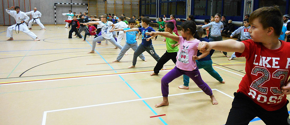 Kampfsportschule Aarau
