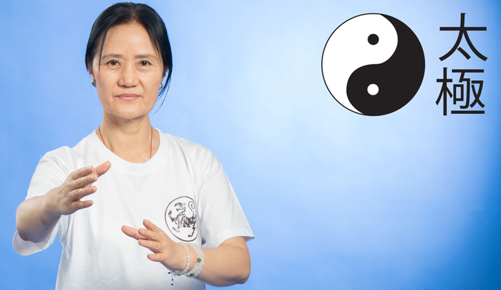 Für Qi Gong Tai Chi auch von Lenzburg, Hunzenschwil, Aarburg, Oftringen, Zofingen, Schöftland, Frick, Menziken, Reinach, Rothrist nach Aarau