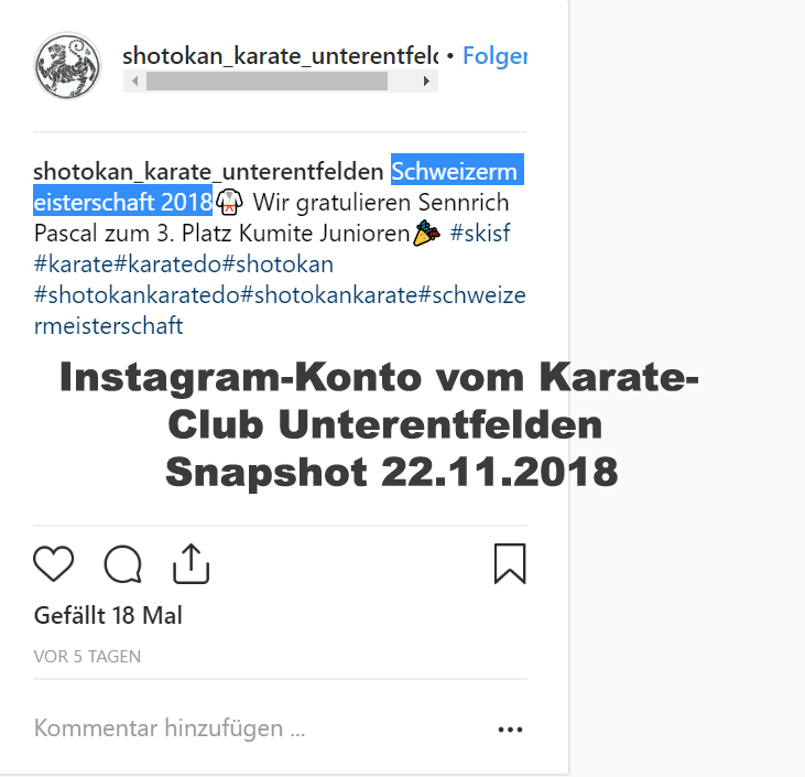 SKISF Verbands Schweizermeisterschaft Karate Club Unterentfelden Vito di Buono