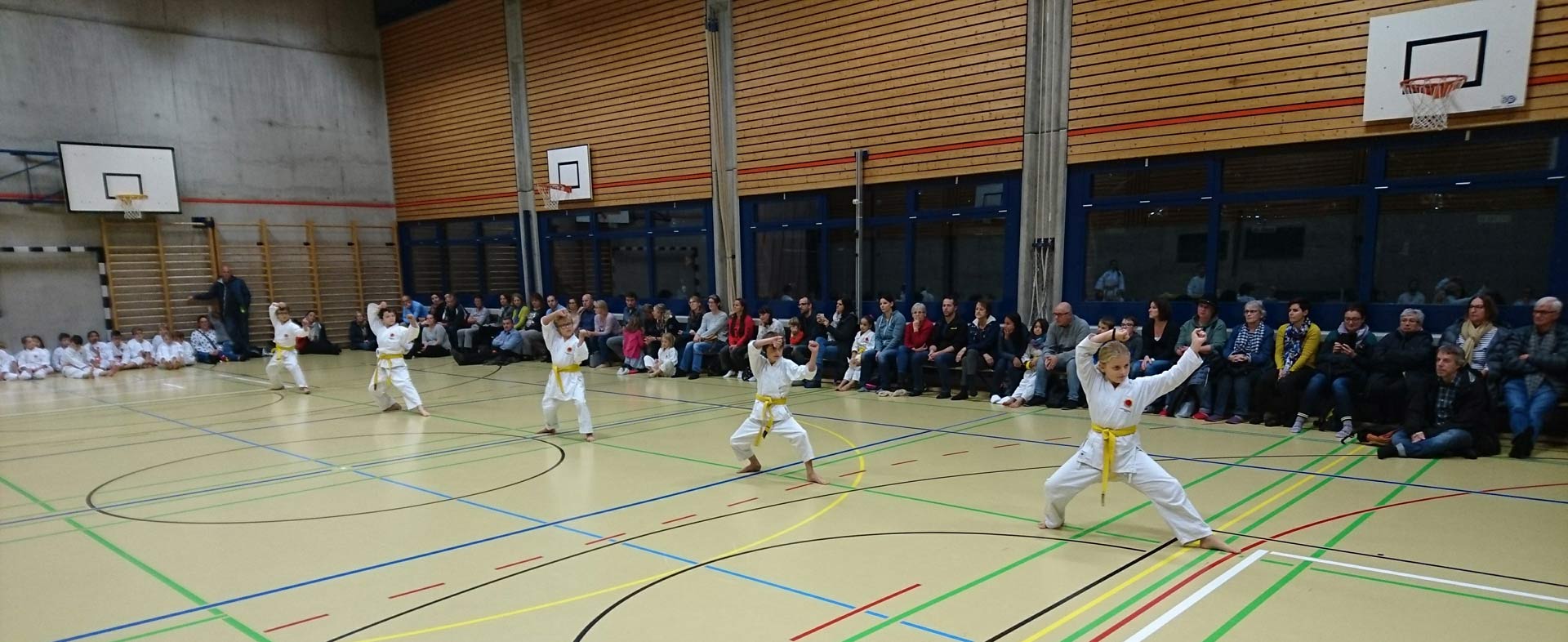 karate kampfsportschule aarau