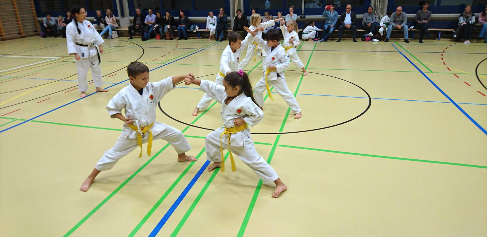 karate kampfsportschule aarau