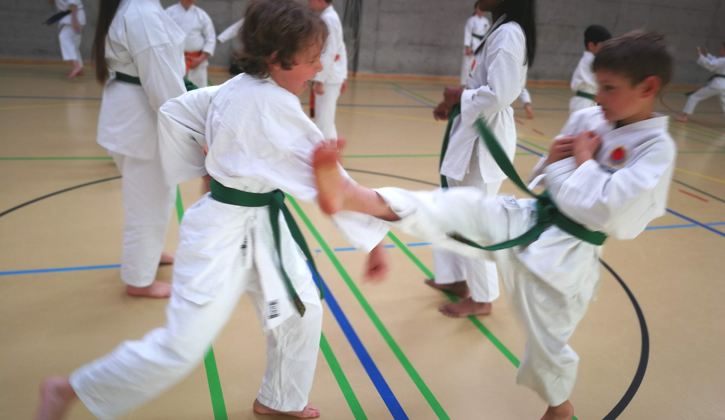 Karate Felix aus Buchs mit Silvan aus Küttigen