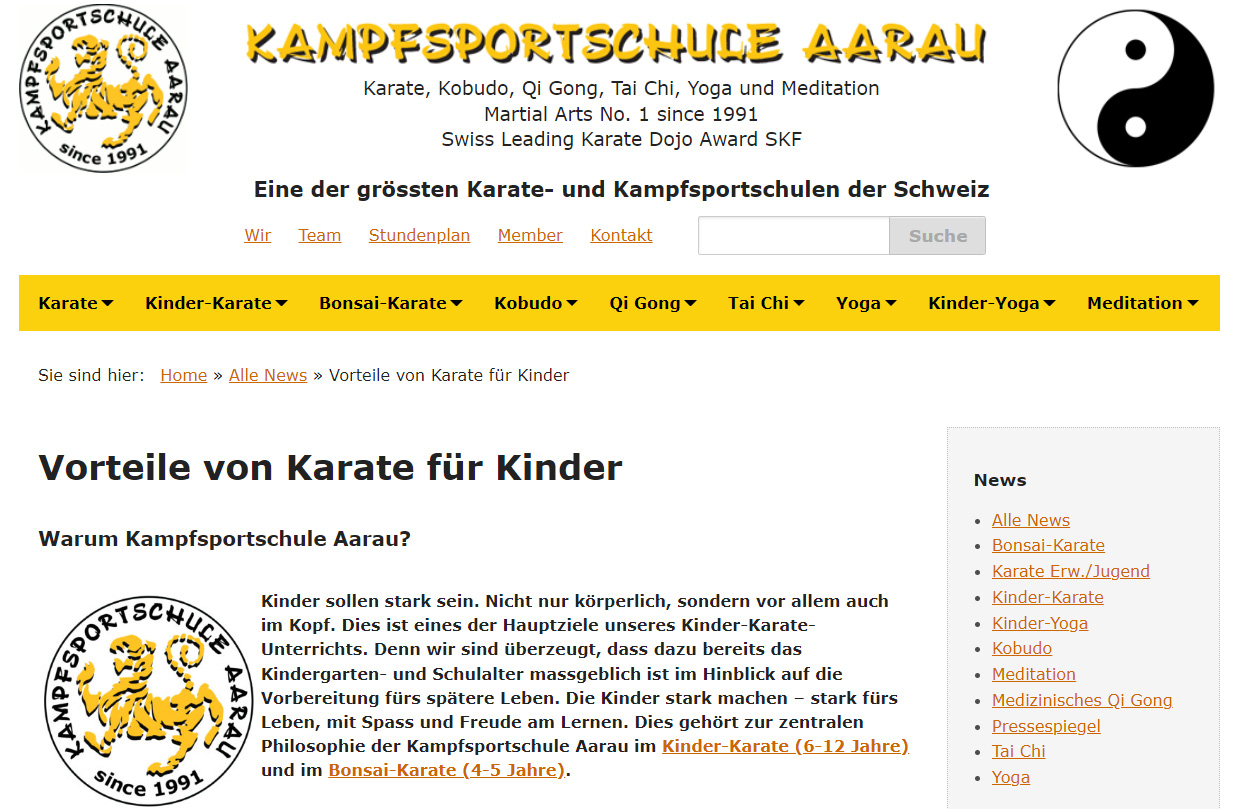 kinder kampfsport aarau