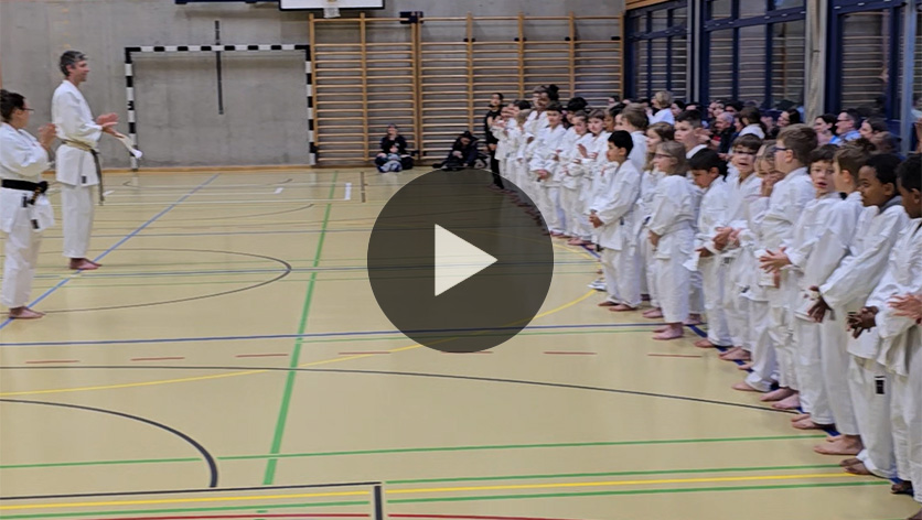Karate Prüfungen Kinder Aarau