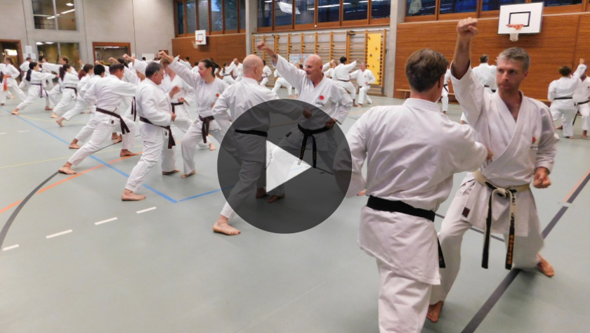 Video-Ausschnitt vom Karate Gastraining Aarau vom 17.9.2026 im Primarschulhaus Telli organisiert durch die Kampfsportschule Aarau
