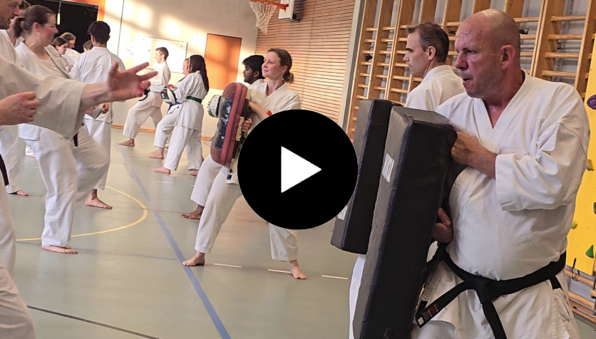 Karate-Effizienz-Kampfsportschule Aarrau
