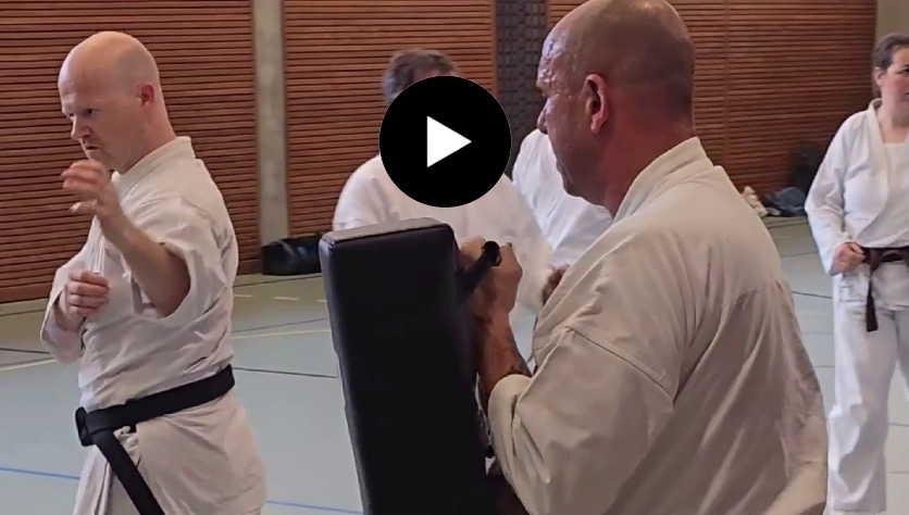 Karateschule in Aarau