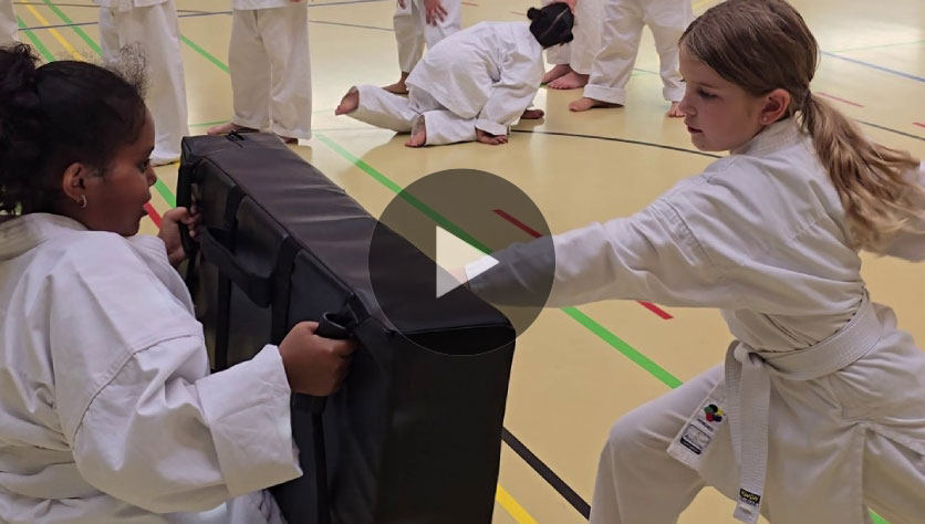 Karate Aarau Kinder Kampfsport Schlagpolster
