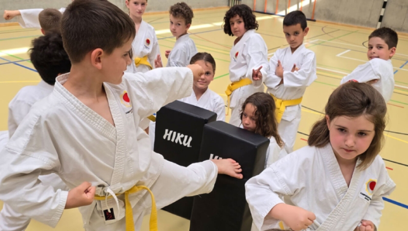 Karate in Aarau für Kinder