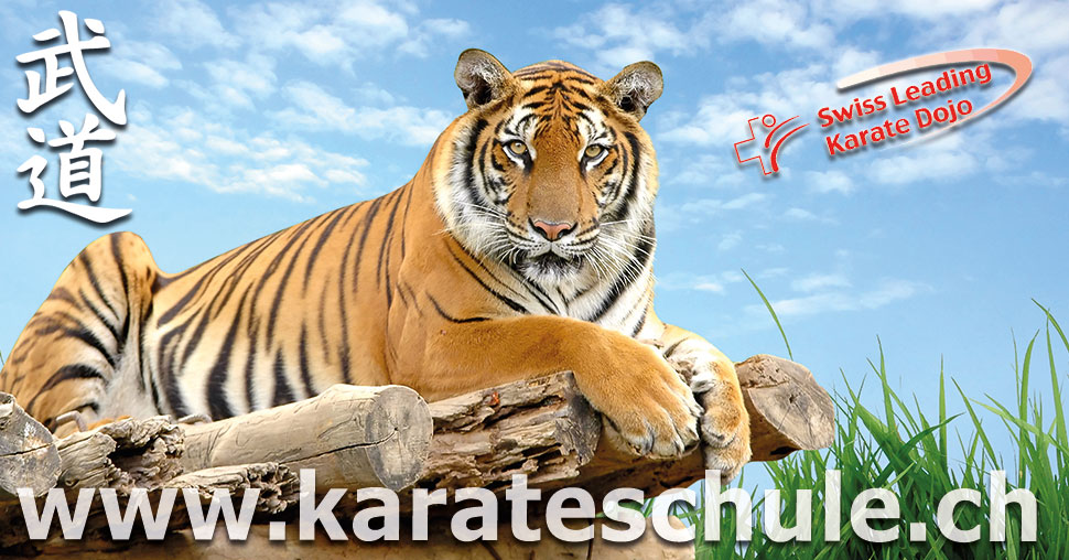 Kampfsportschule Aarau Karate