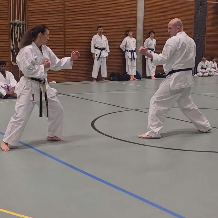 Karate Frauen Power Selbstverteidigung Aarau