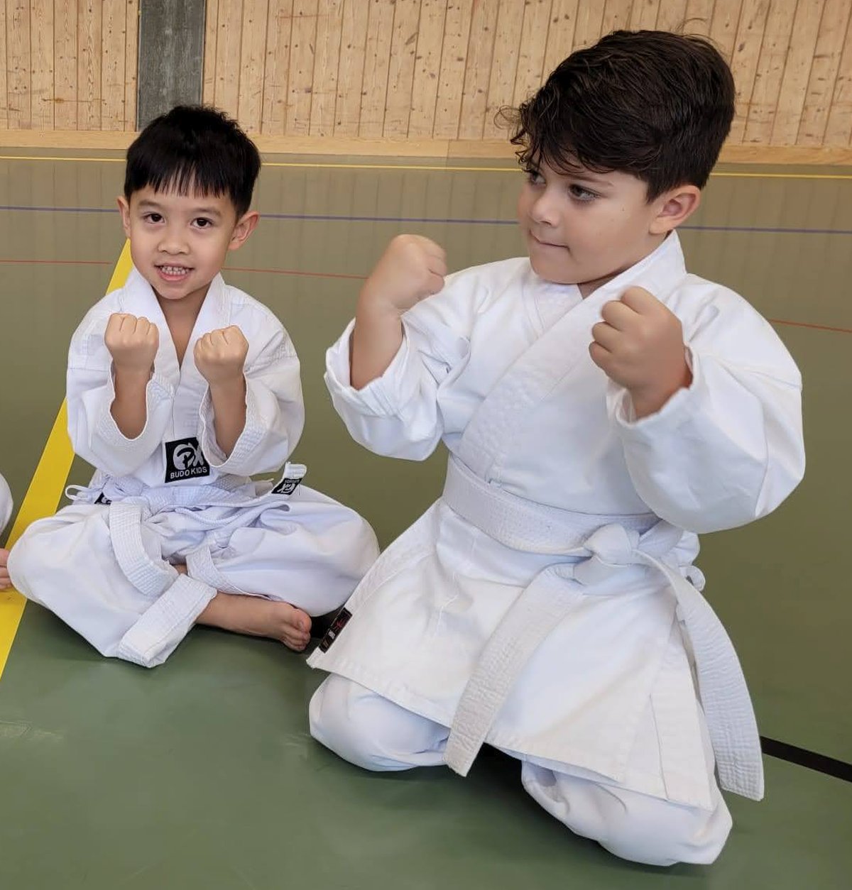kinder karate aargau kampfsportschule aarau