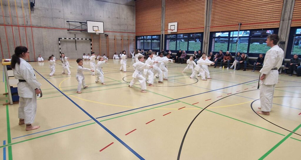 Kinder Karate Prüfungen in Aarau an der Kampfsportschule. Stolze Prüfungsabsolventen als Schule für das Leben. Ob von Aarau, Olten oder sonst vom Aargau.