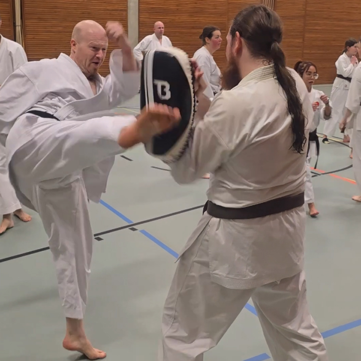 Mawashi-Geri Zielgenauigkeit-Training im Karate