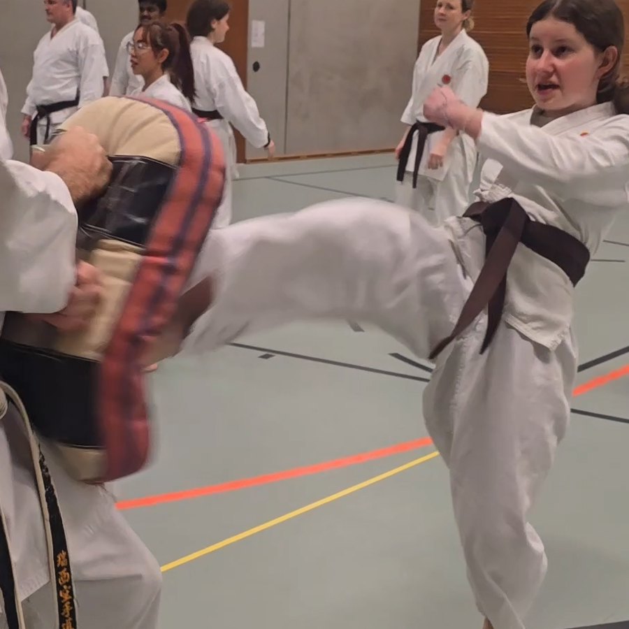 Top Einsatz im Karate-Training Selbstverteidigung Kampfsportschule Aarau