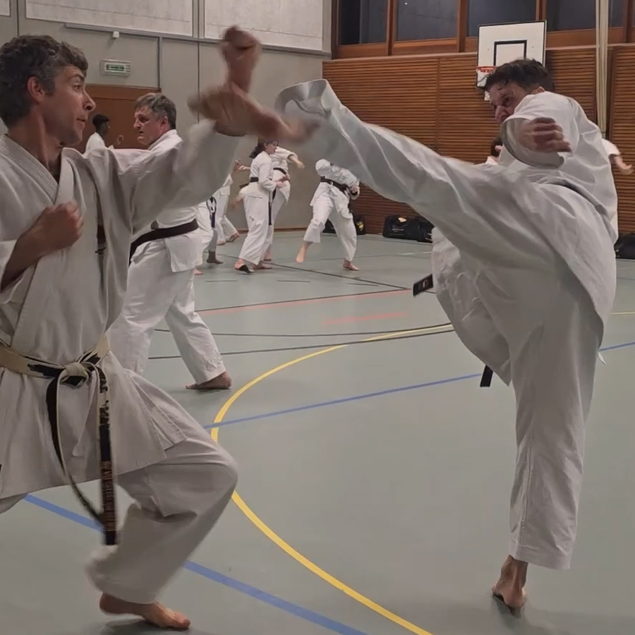 Karate Kampfsportschule Aarau