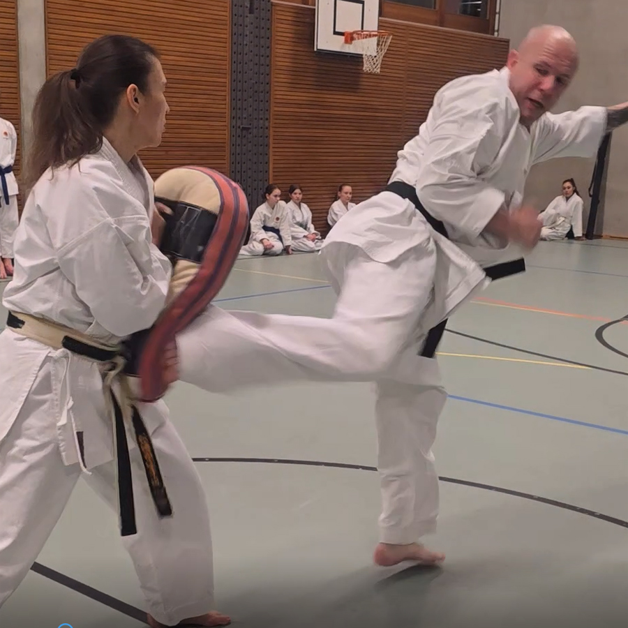 Karate Power am Schlagkissen Kampfsportschule Aarau