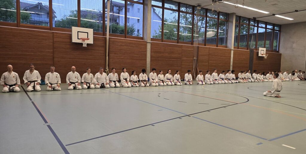 Kampfsportschule Aarau. Karate und Kampfsport.
