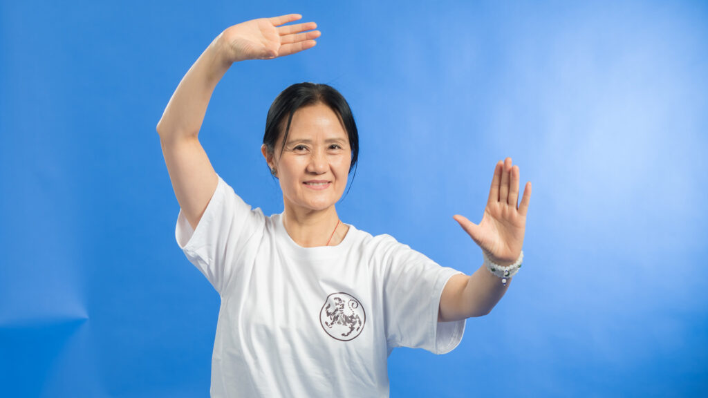 tai chi aarau