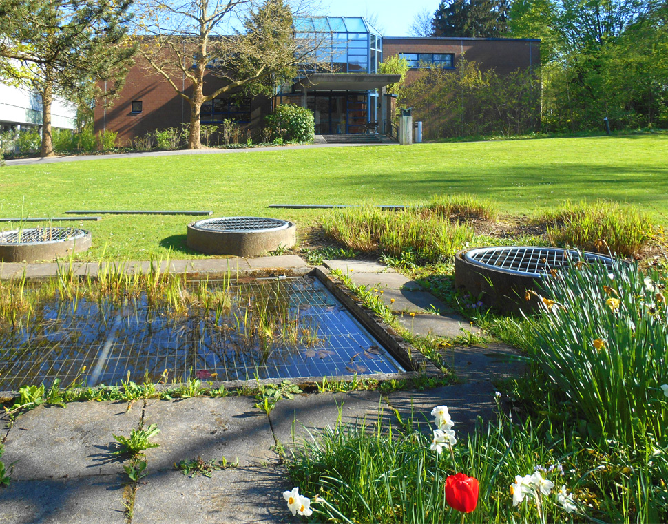 Zelgli Turnhalle mit Wiese im Grünen