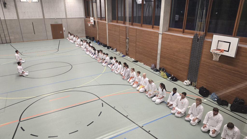 Karate Erwachsene/Jugend Aarau