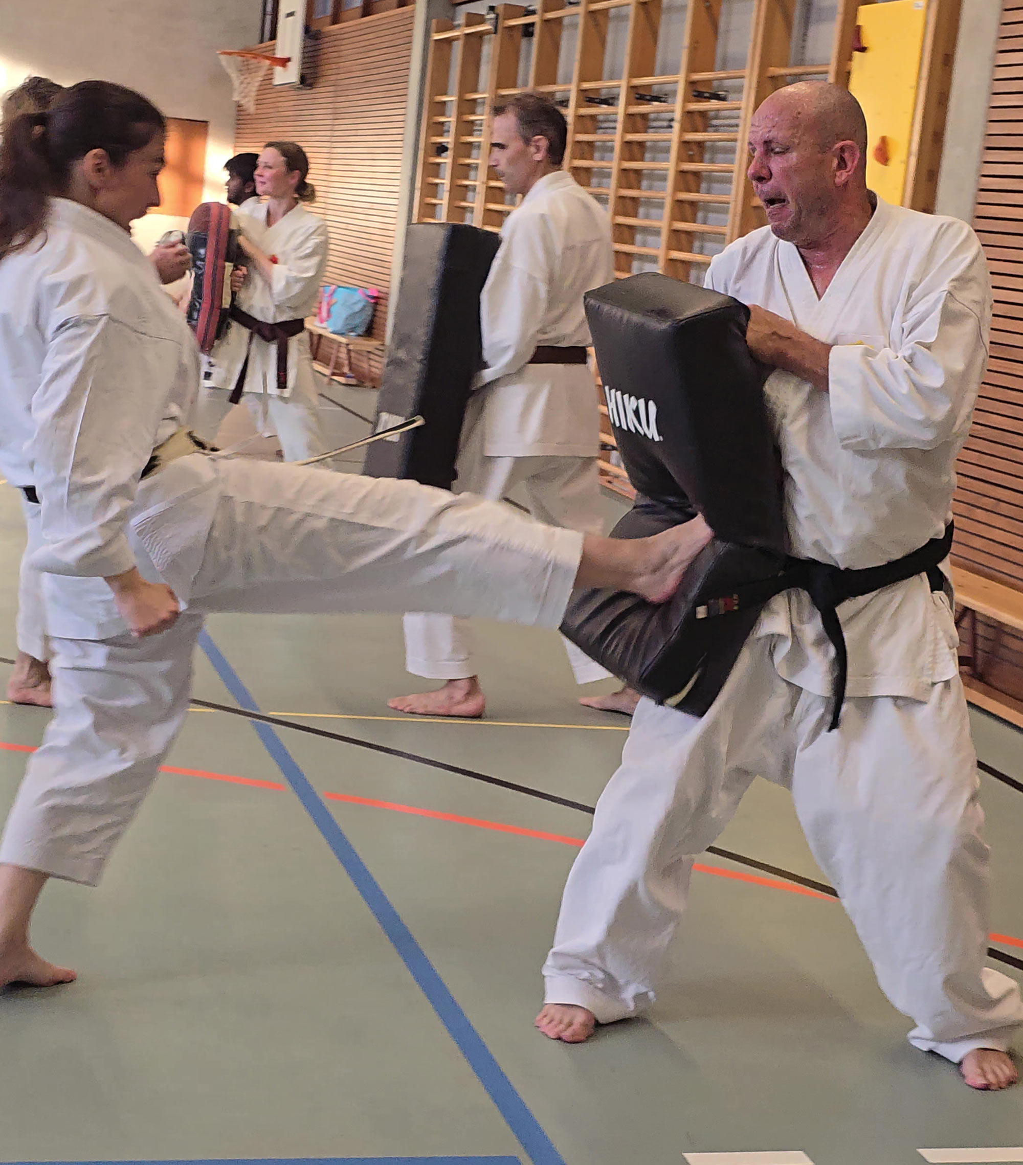 Kampfsport Aarau. Das Karate-Instruktoren-Team der Kampfsportschule Aarau bringt auch einen zusätzlichen Background mit aus Kobudo, MMA und Thaiboxen mit. 