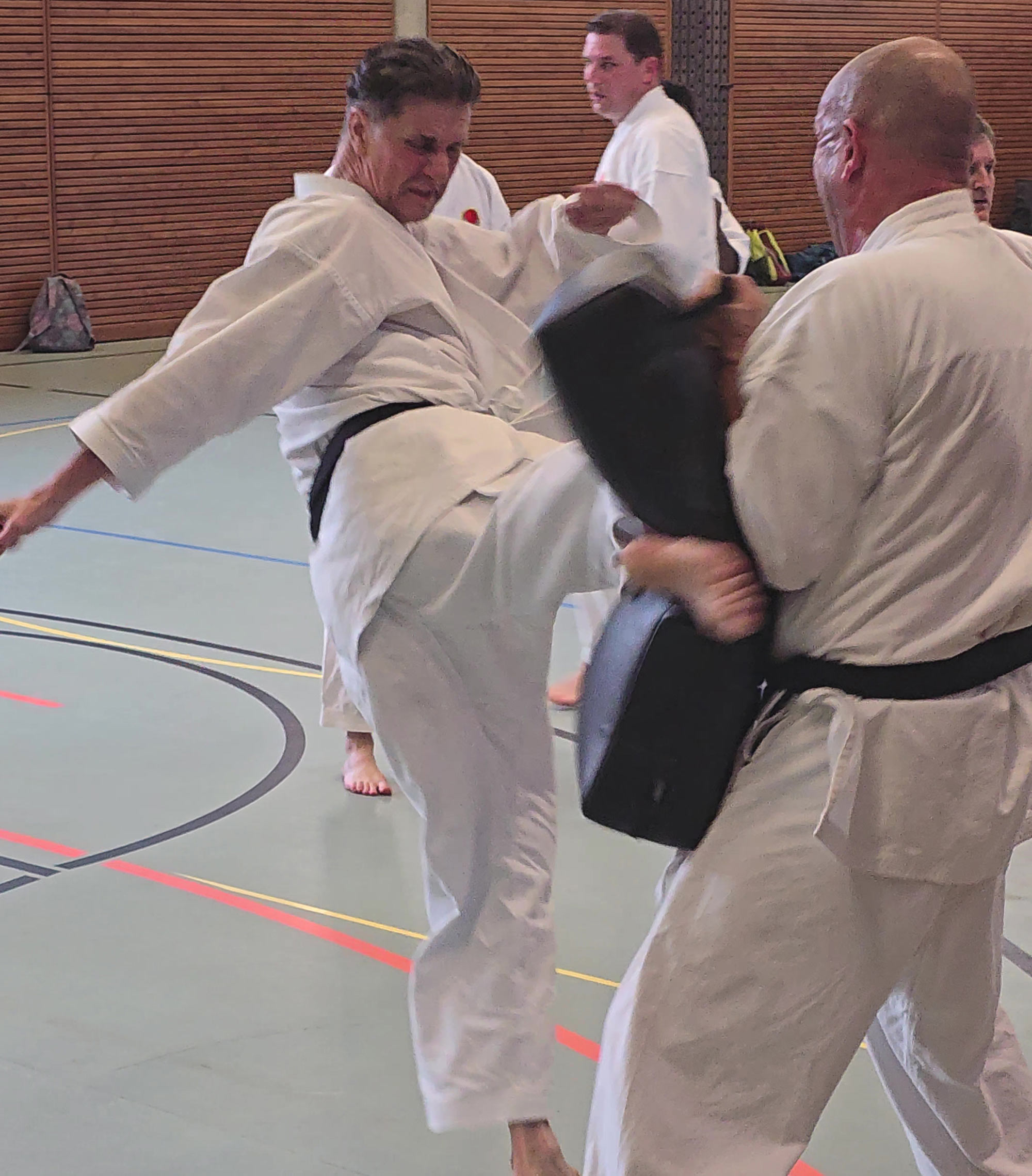 Kampfsport Olten. Unser Karate-Instruktoren-Team bringt auch auch einen zusätzlichen Background mit jahrelangen Erfahrungen aus Kobudo, MMA und Thaiboxen mit. 