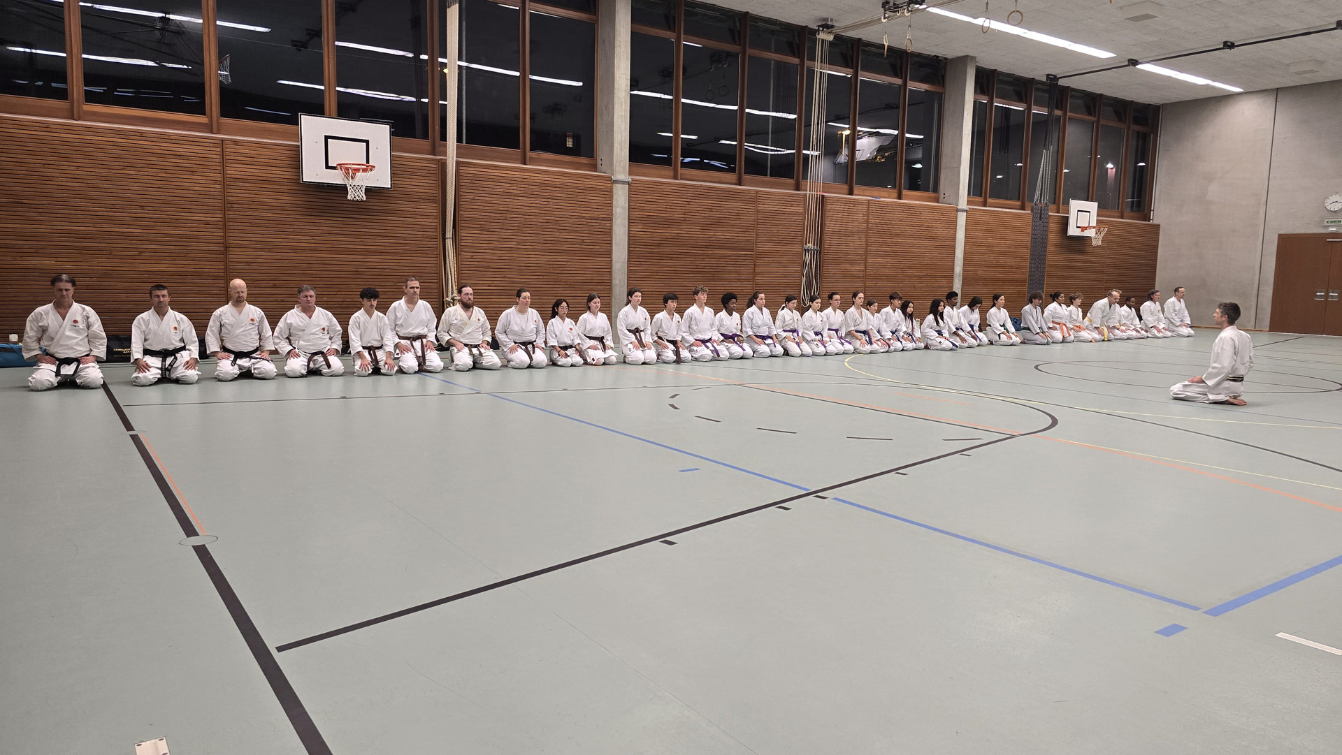 Karate Olten Kampfsport Schule Aarau