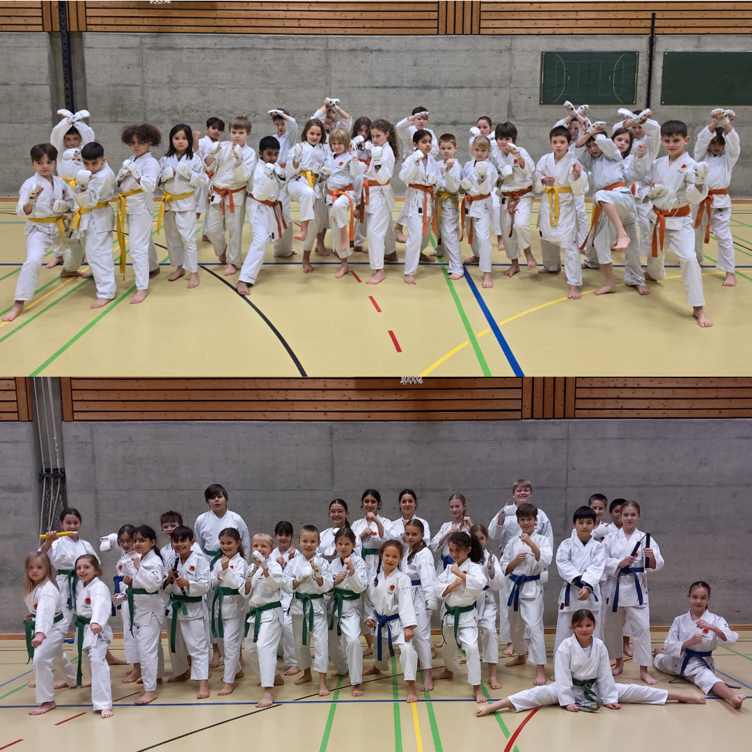 Traditionelles Karate