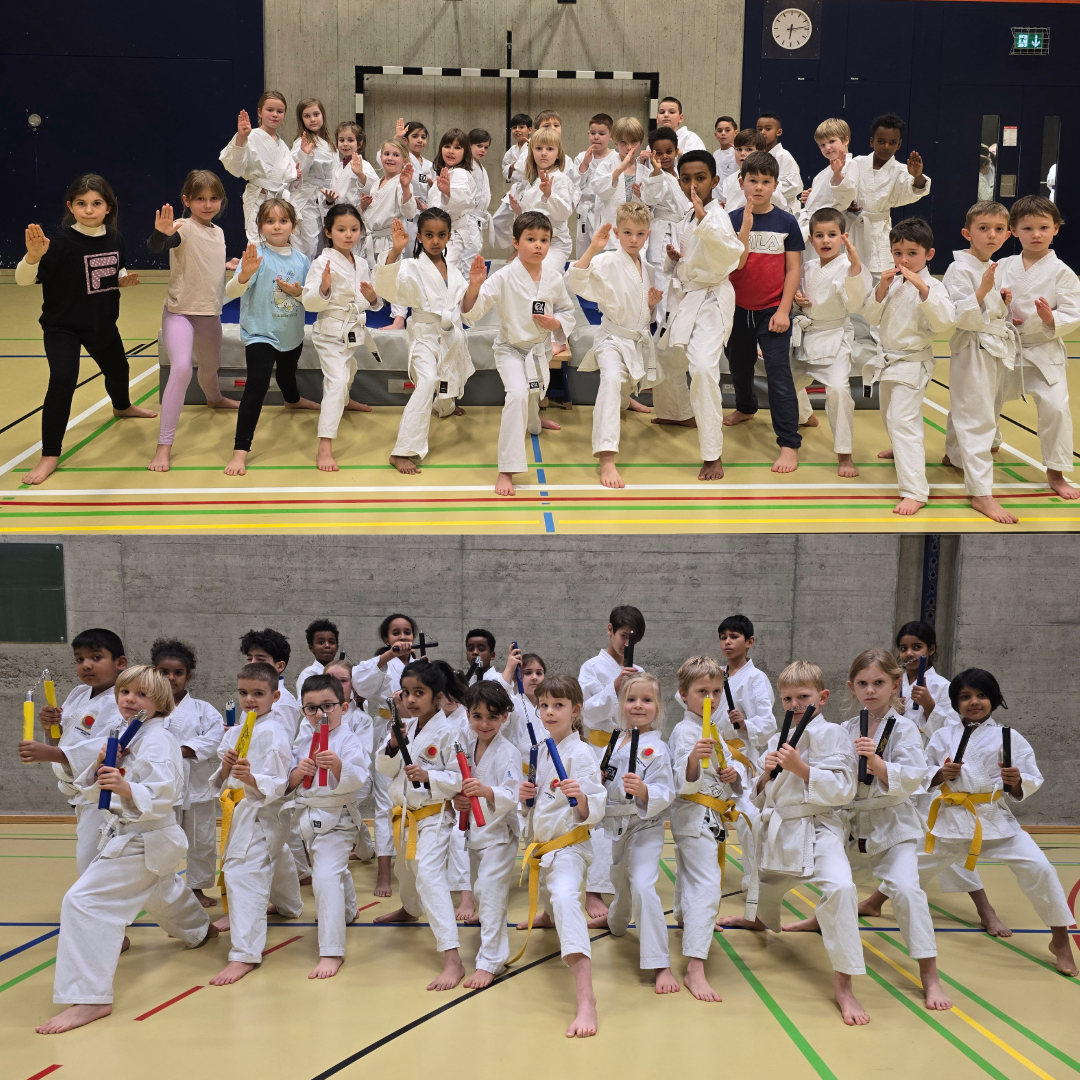 Karate Kampsport