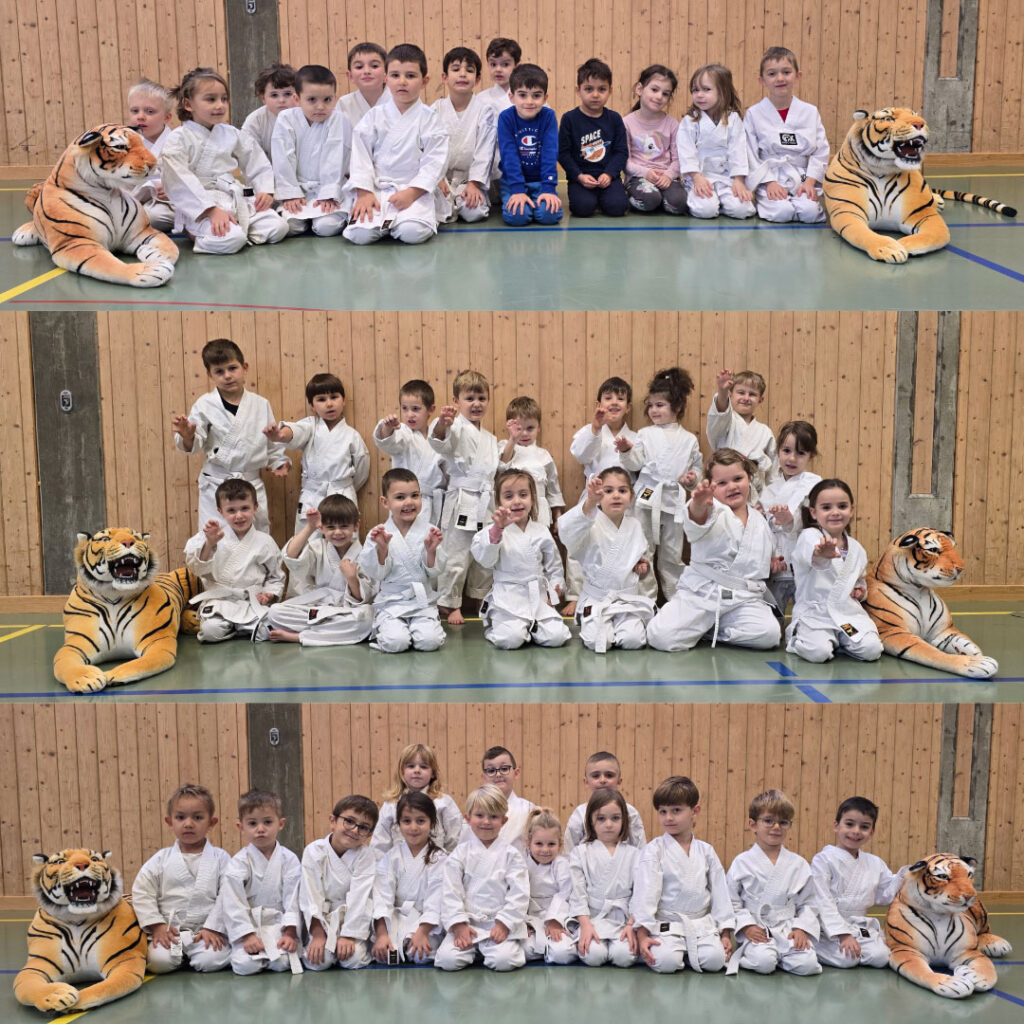 Kinder Bonsai Karate Aarau Aargau