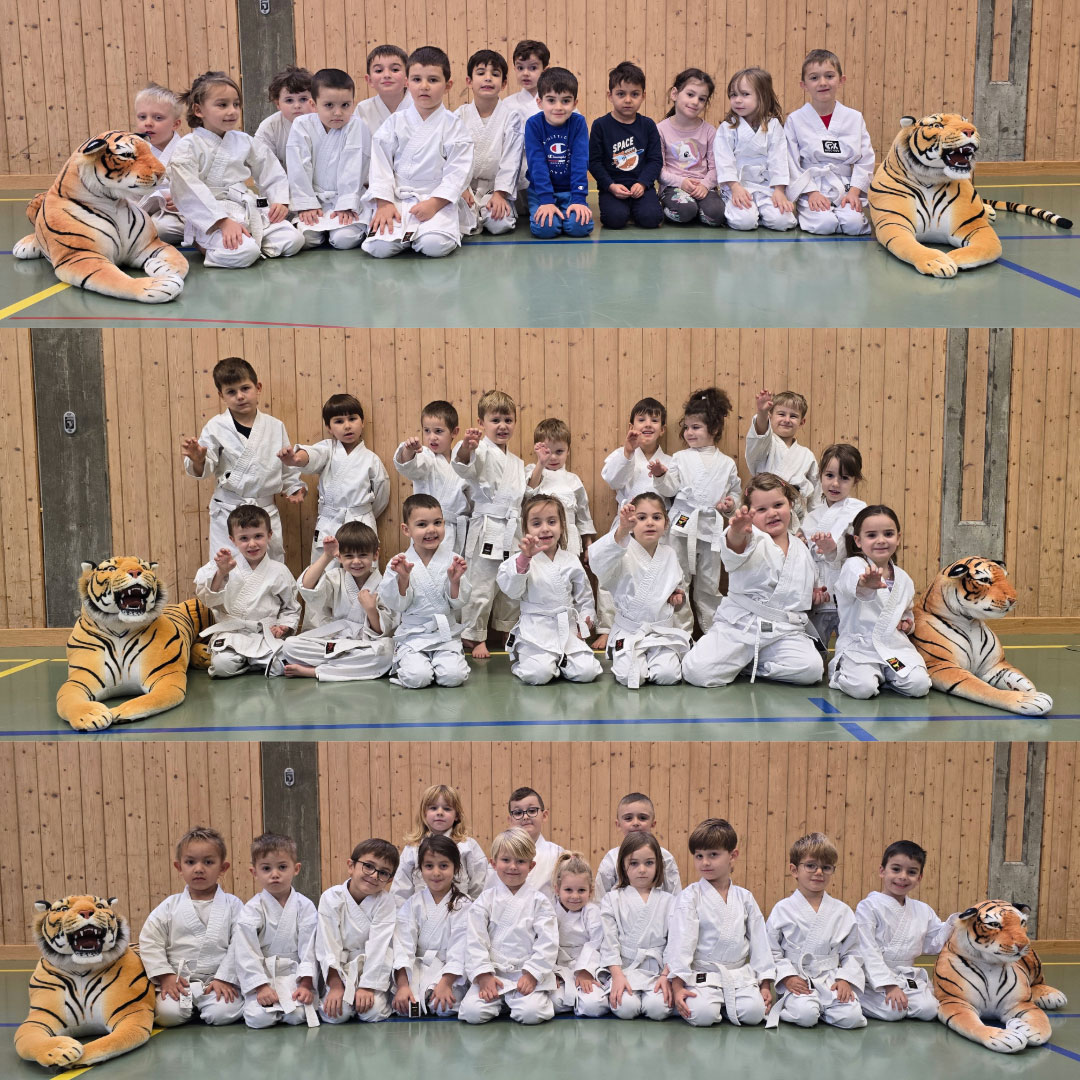 Karate Olten