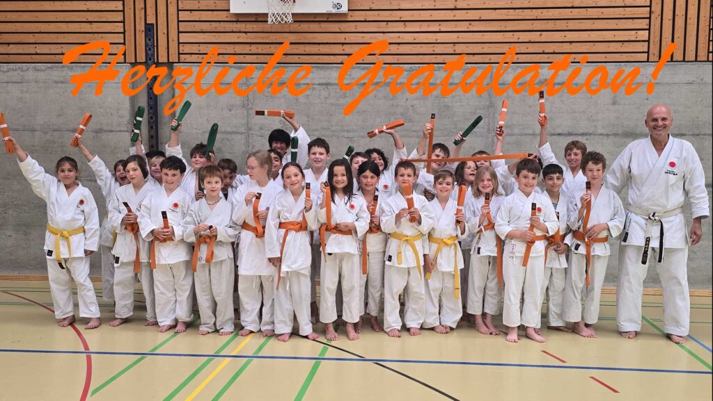 Kinder Karate Prüfungen bestanden. Erfolgreicher Kinder-Kampfsport in der Kampfsportschule Aarau. Gruppe 3 mit Instruktor Ismet Duro.