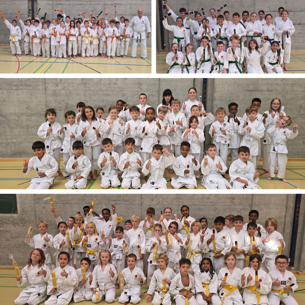 Karate Kampfsport Prüfung für Kinder Kampfsportschule Aarau