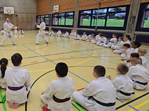 Karate-Lehrer machen eine Demonstration mit Nunchaku
