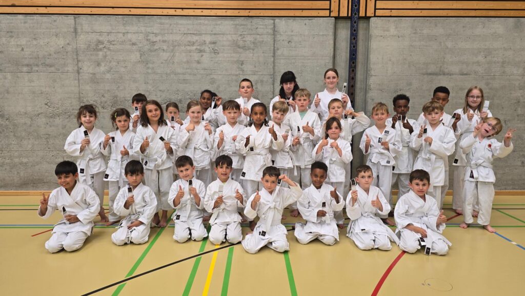 Kinder Karate Kampfsportschule Aarau 6-12 Jahre