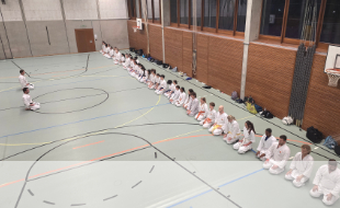 karate_ej