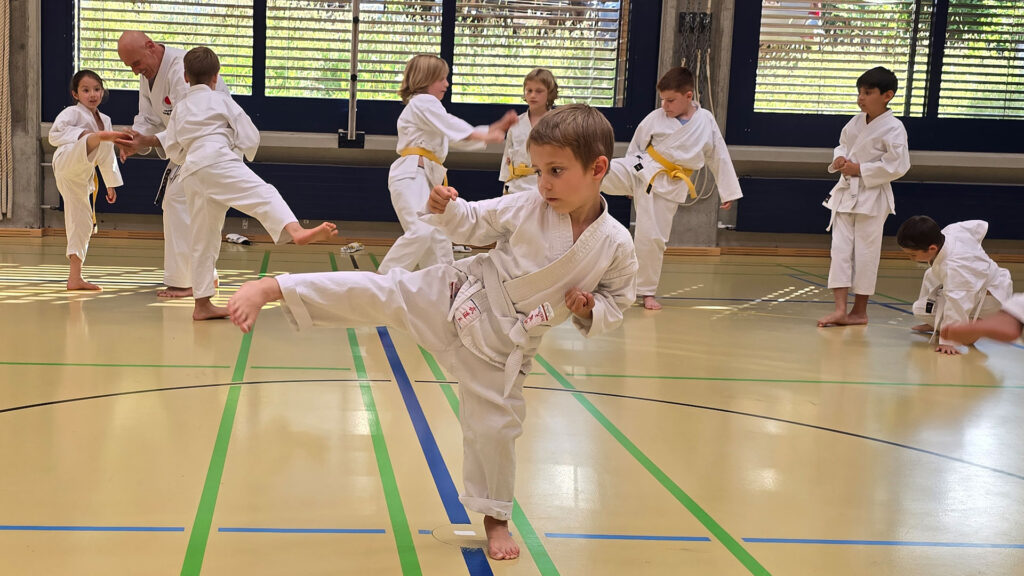 Karate Tom aus Küttigen