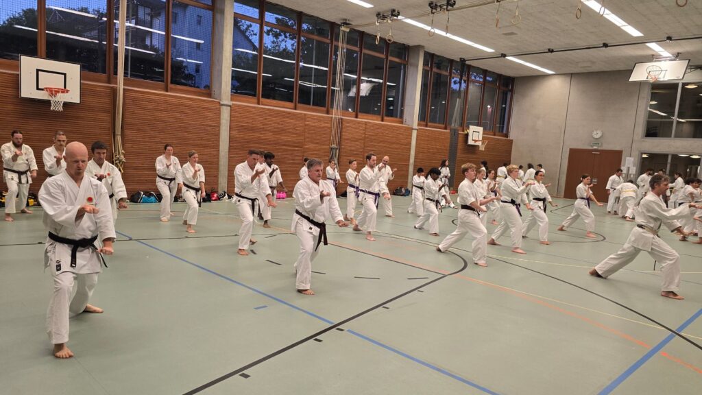 Das Shotokan Karate Kata Training ist in unserer Schule beliebt neben Kumite- und Selbstverteidigungs-Training. Viele schätzen auch dass die Katas alleine praktiziert werden müssen, wo volle Konzentration notwendig ist. Wir praktizieren traditionelles Shotokan Karate für Erwachsene, Jugendliche und Kinder in separaten Gruppen.