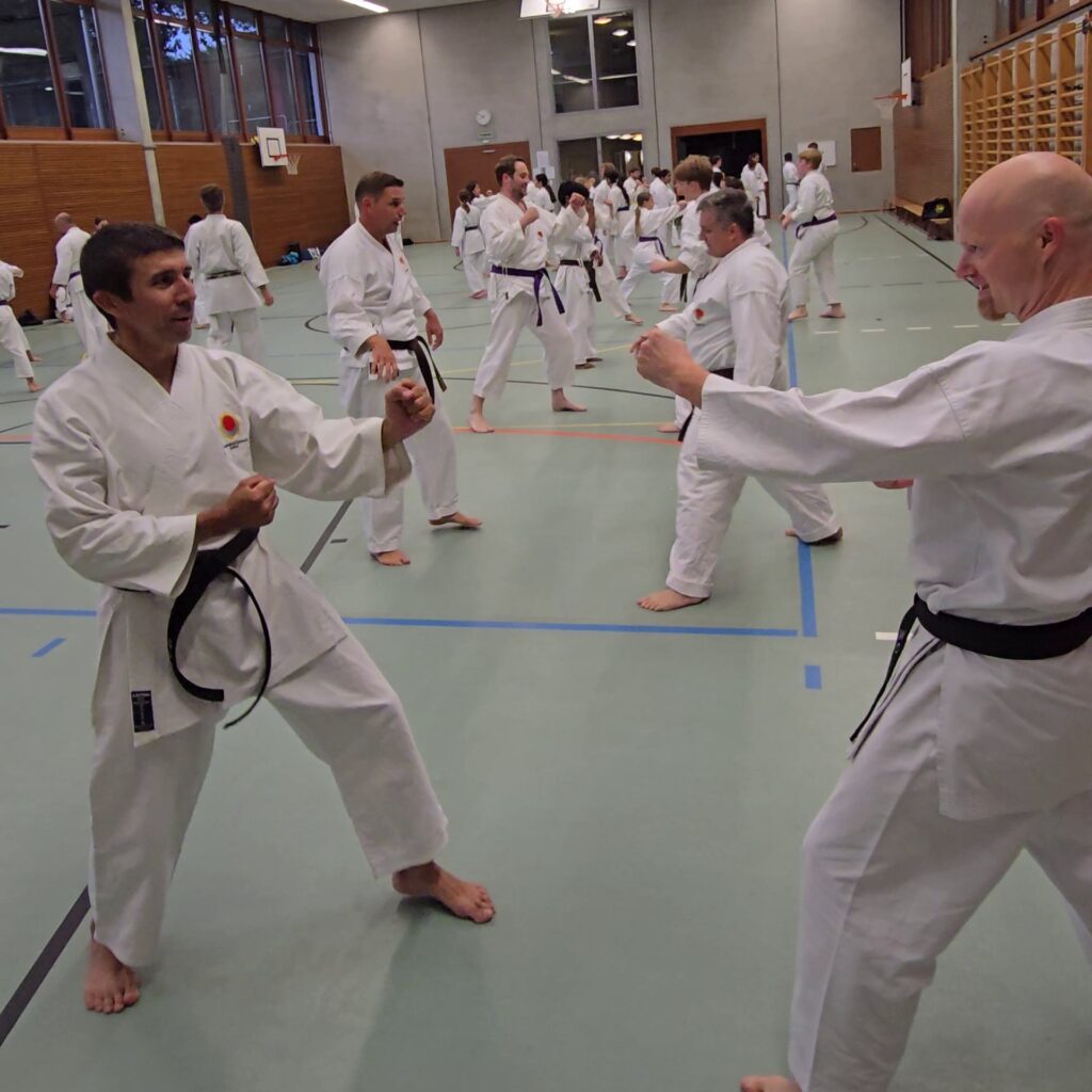 Karate Training in der Kampfsportschule Aarau