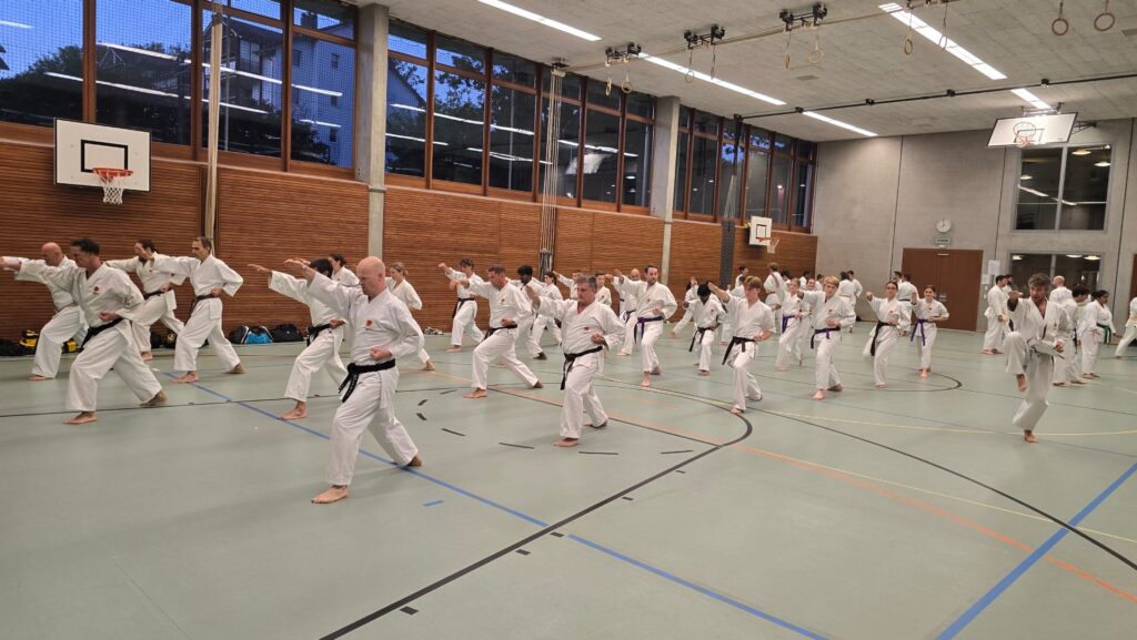 Shotokan Kata Training mit unserem Head-Karate- und Kobudo Instruktor Michael Baumann 