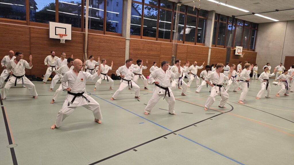 Shotokan Karate Kata Training. Trainiert wird hier die Shotokan-Kata Enpi.