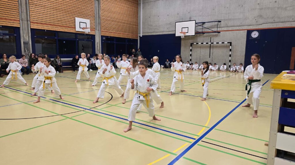 Einblick in die Kinder-Karate Prüfung der Gr. 2. Die Prüfungen fanden in der Turnhalle der Neuen Kantonsschule (Zelgli) statt, wo unsere Kinder-Karate Trainings stattfinden